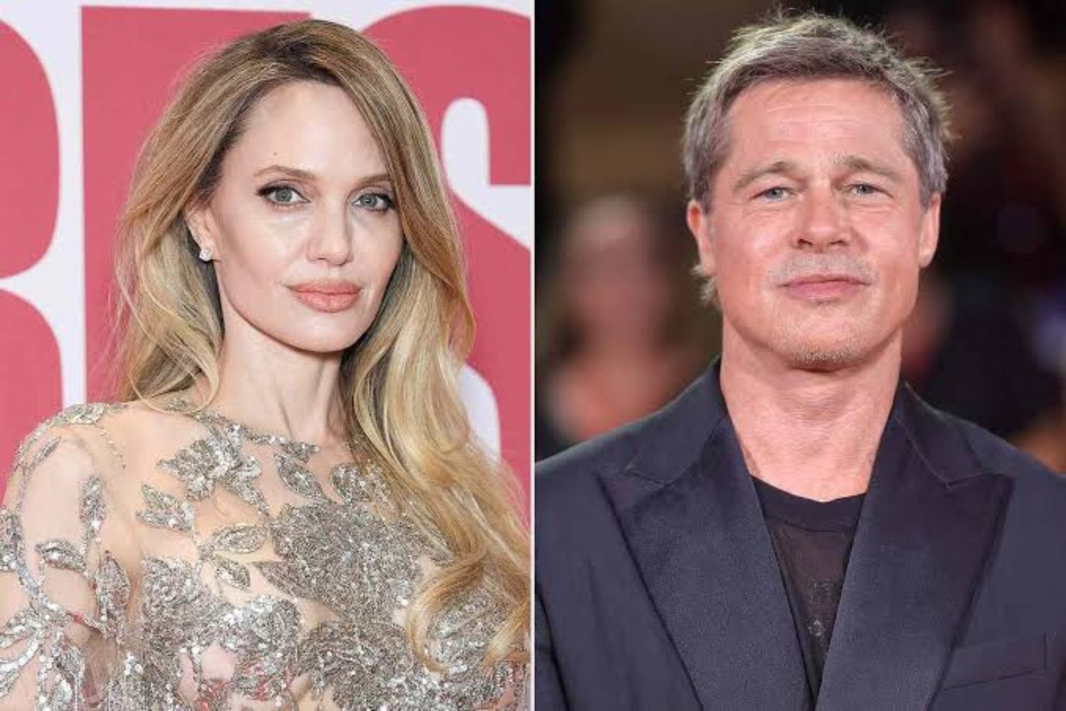 Angelina Jolie Miraval Château, Wine and Legal Dispute